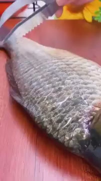 3-in-1 Fish Scaler Scrapper